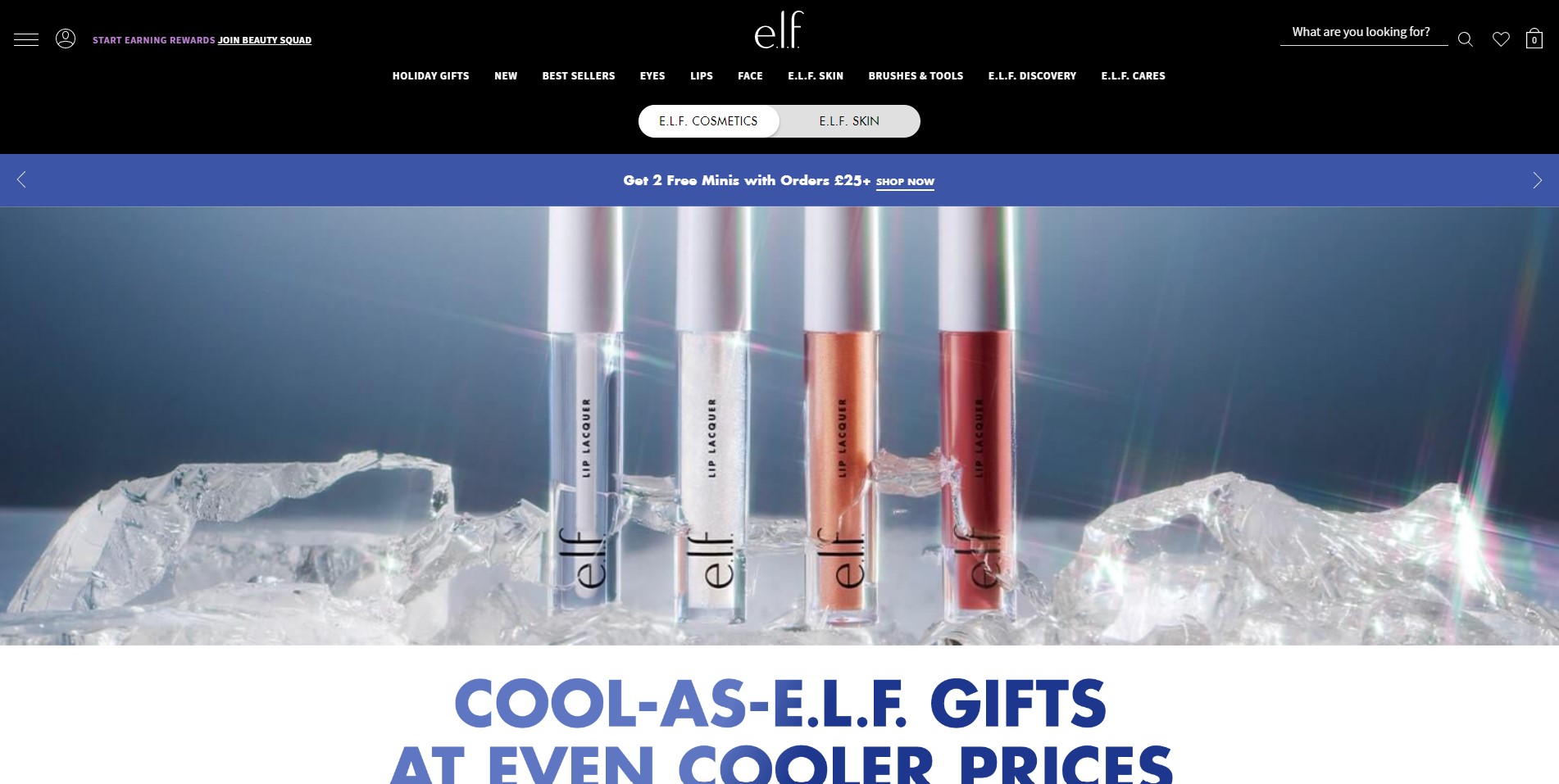 Screenshot of the Elf Cosmetics website